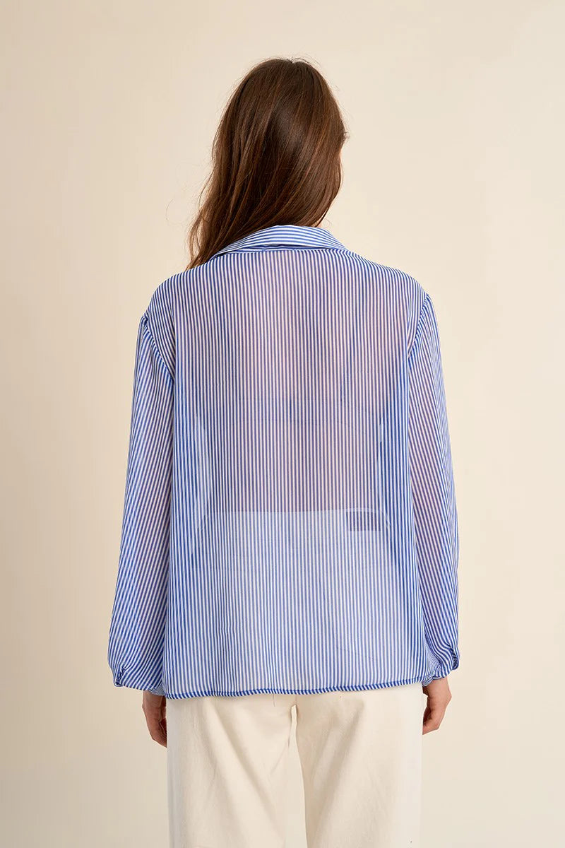 Sheer Blouse