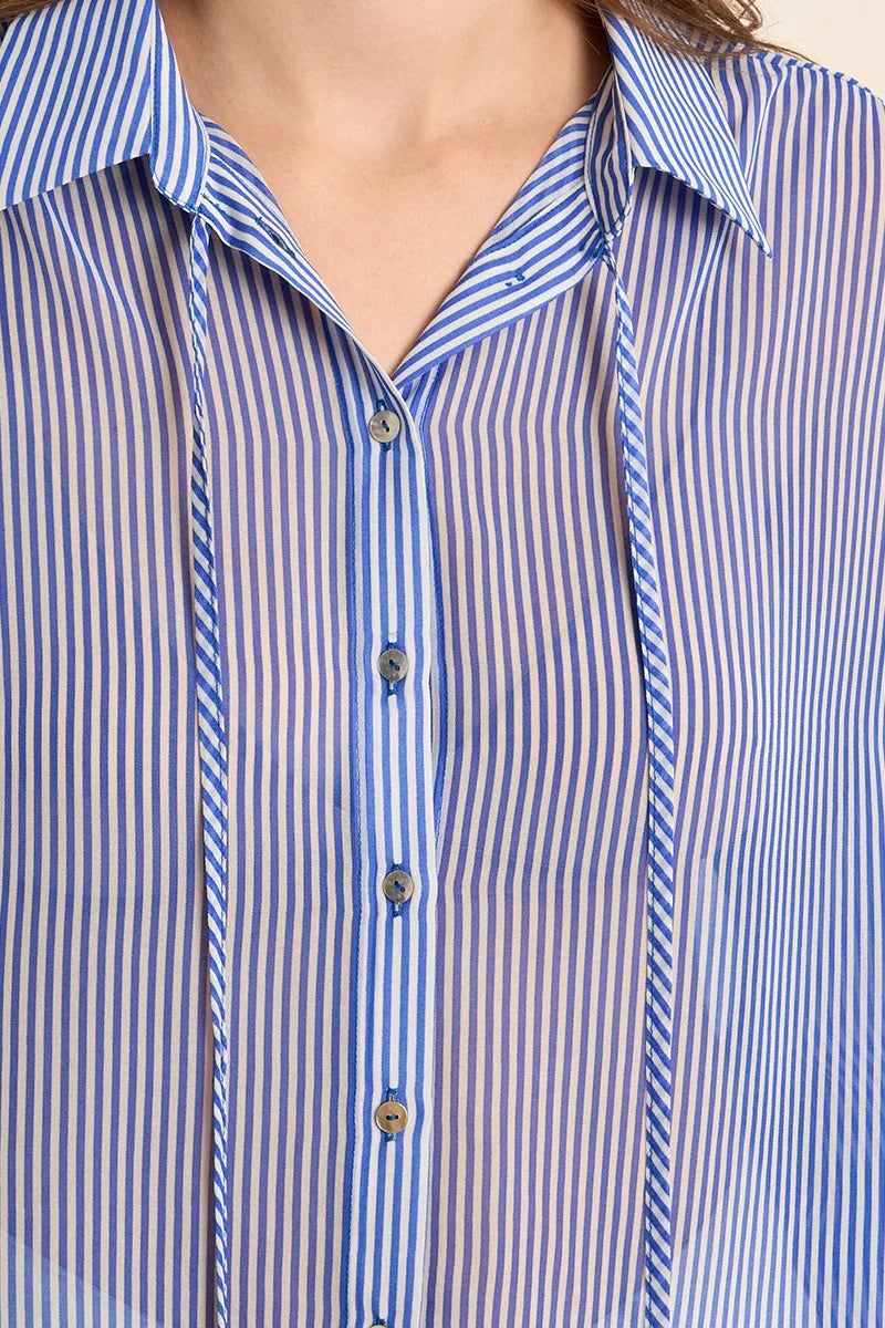 Sheer Blouse