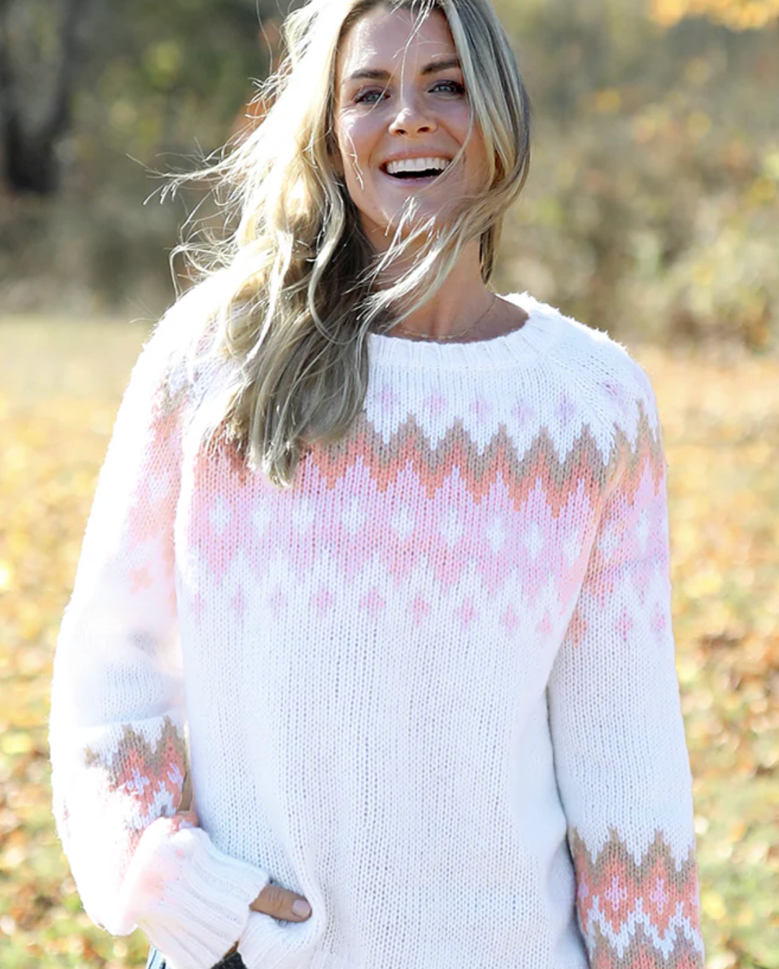 Jaxon Fair Isle Sweater