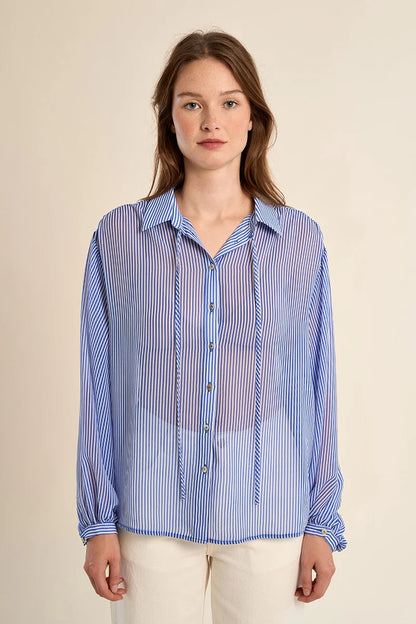 Sheer Blouse