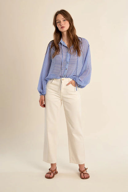 Sheer Blouse