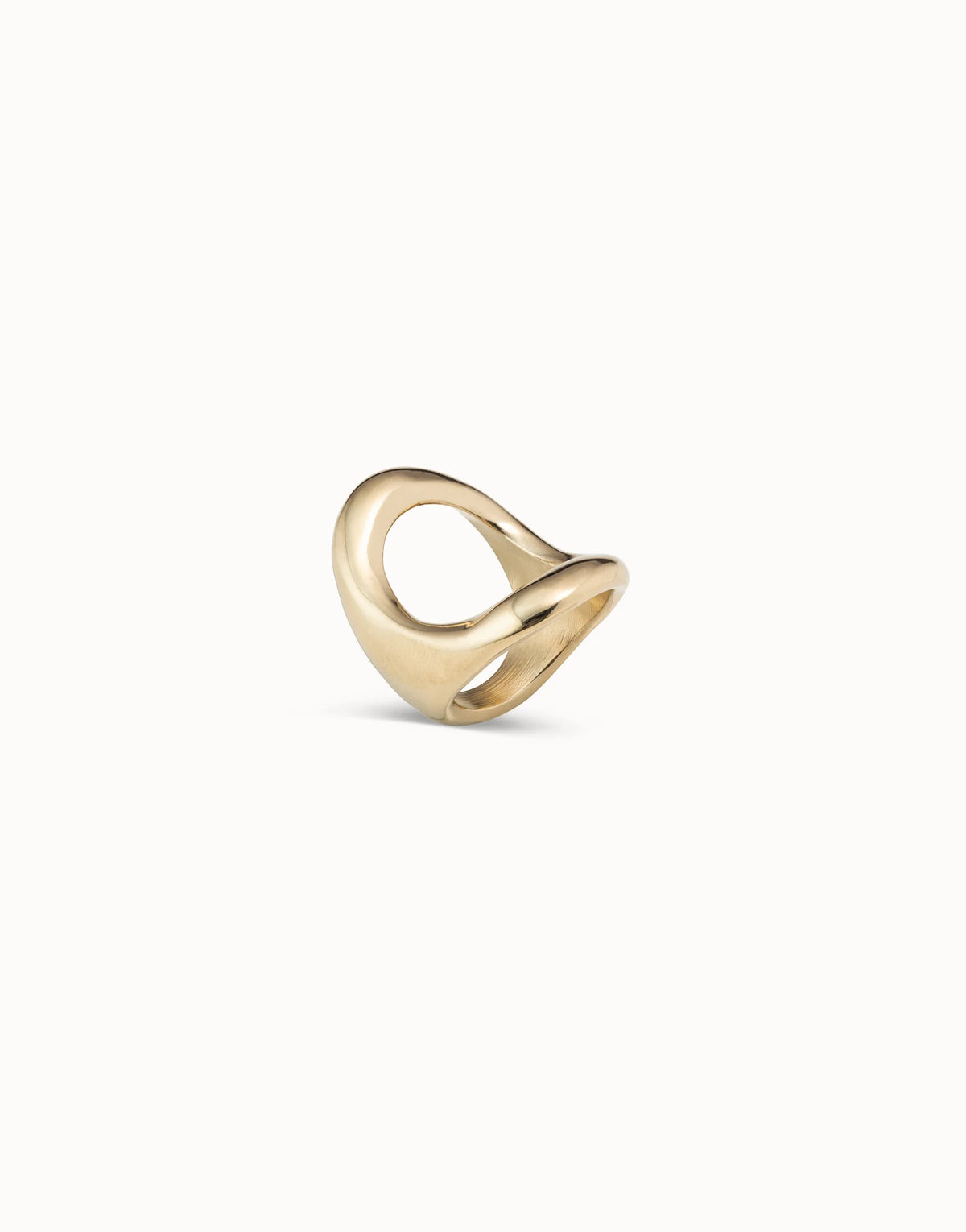 The One Ring