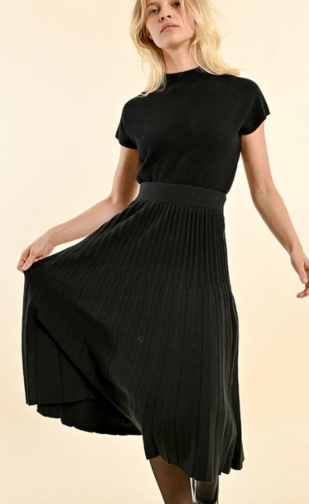 Pleated Knit Skirt