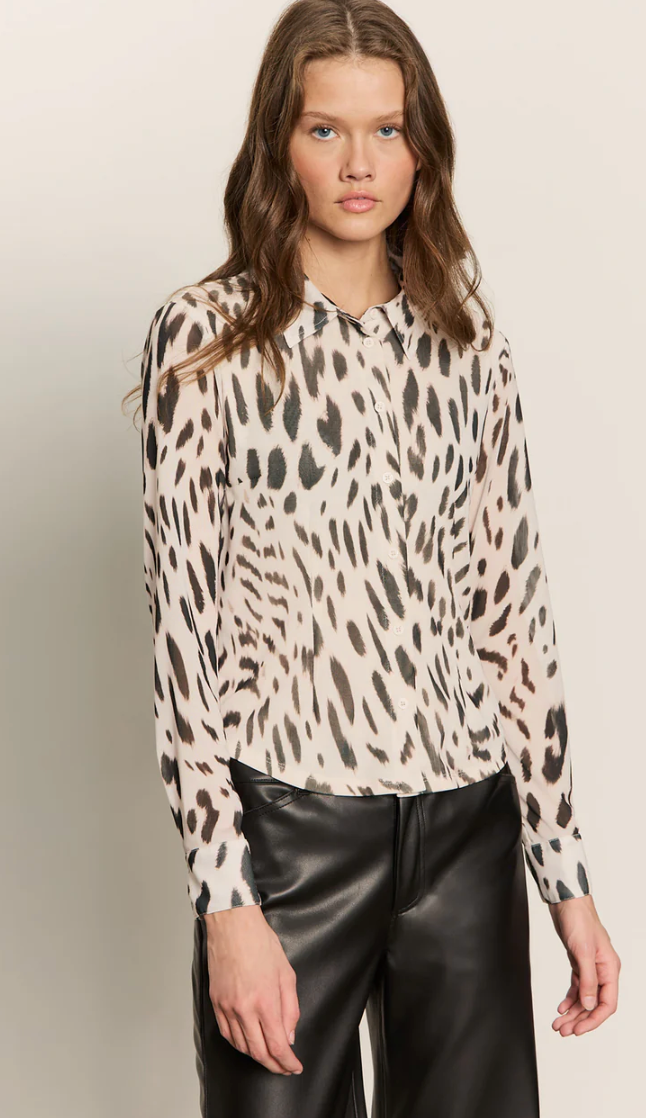 Fitted Mesh Button Down