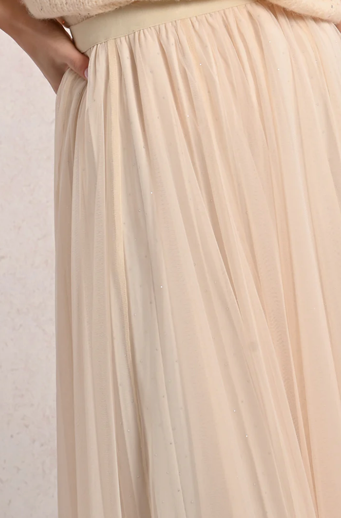 Long Tulle Skirt w/Sparkle