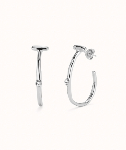 Hoop Earrings w/topaz