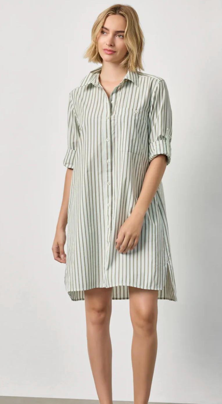 Striped Shirt Dress