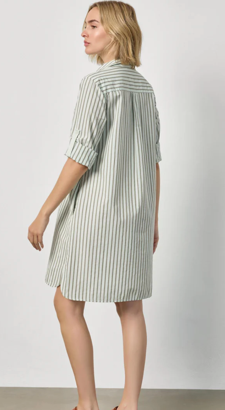 Striped Shirt Dress