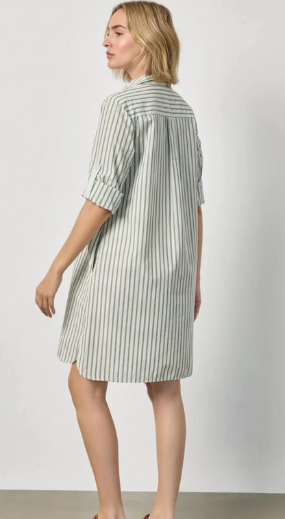Striped Shirt Dress